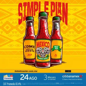 the-rock-review-simple-plan-en-mexico