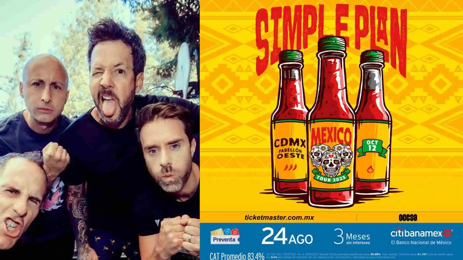 the-rock-review-simple-plan-en-mexico