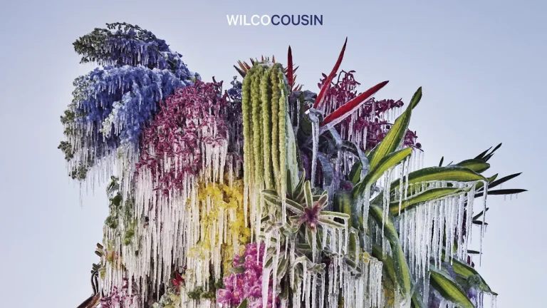 the-rock-review-wilco-regresa-a-mexico