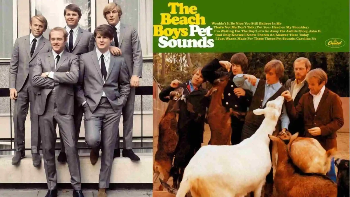 the-rock-review-the-beach-boys